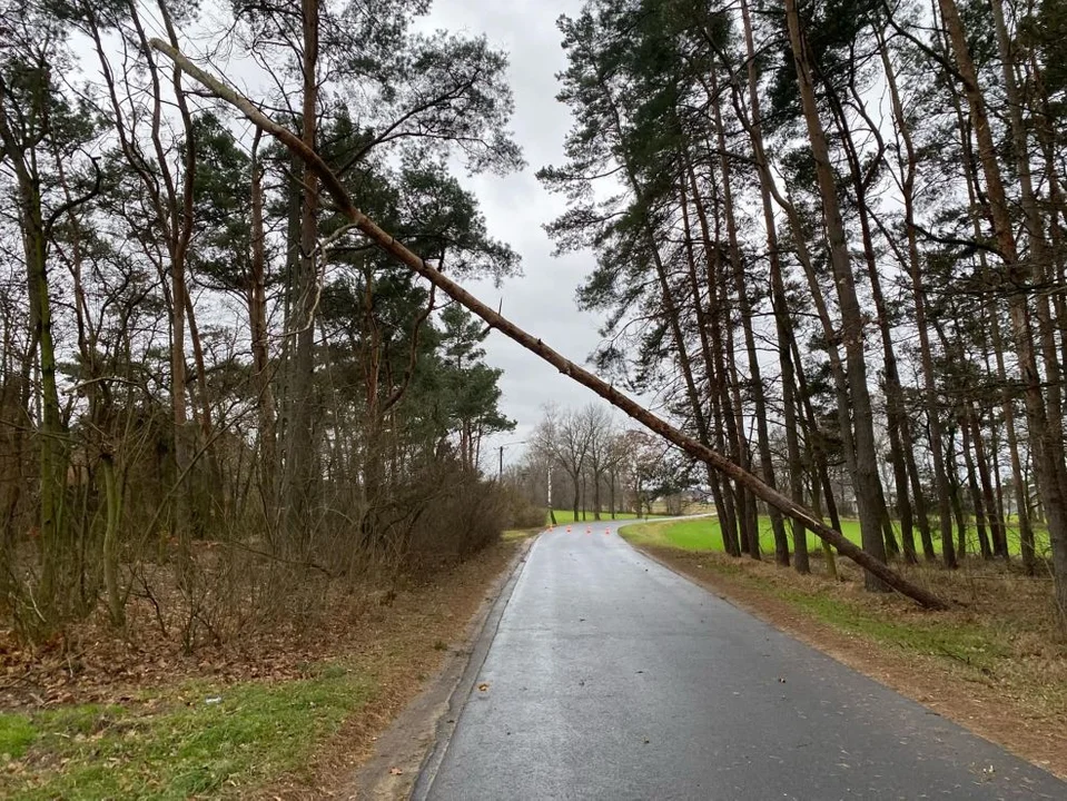 Dewa zdarzenia związane z silnym wiatrem odnotowała jarocińska straż pożarna