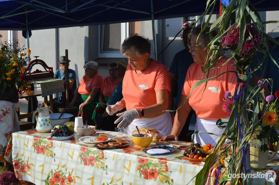 XII Festiwal Tradycji i Folkloru w Domachowie 2024