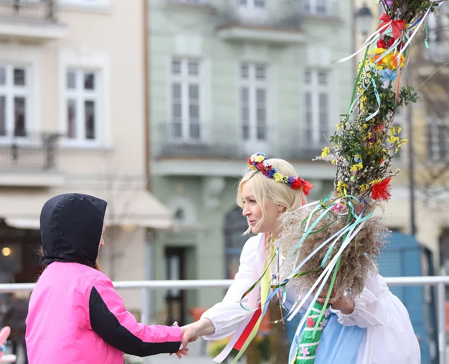 Najdłuższe palmy miały ponad 3 metry