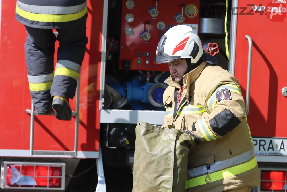 Pożar w lesie pomiędzy Zieloną Wsią a Dębnem Polskim