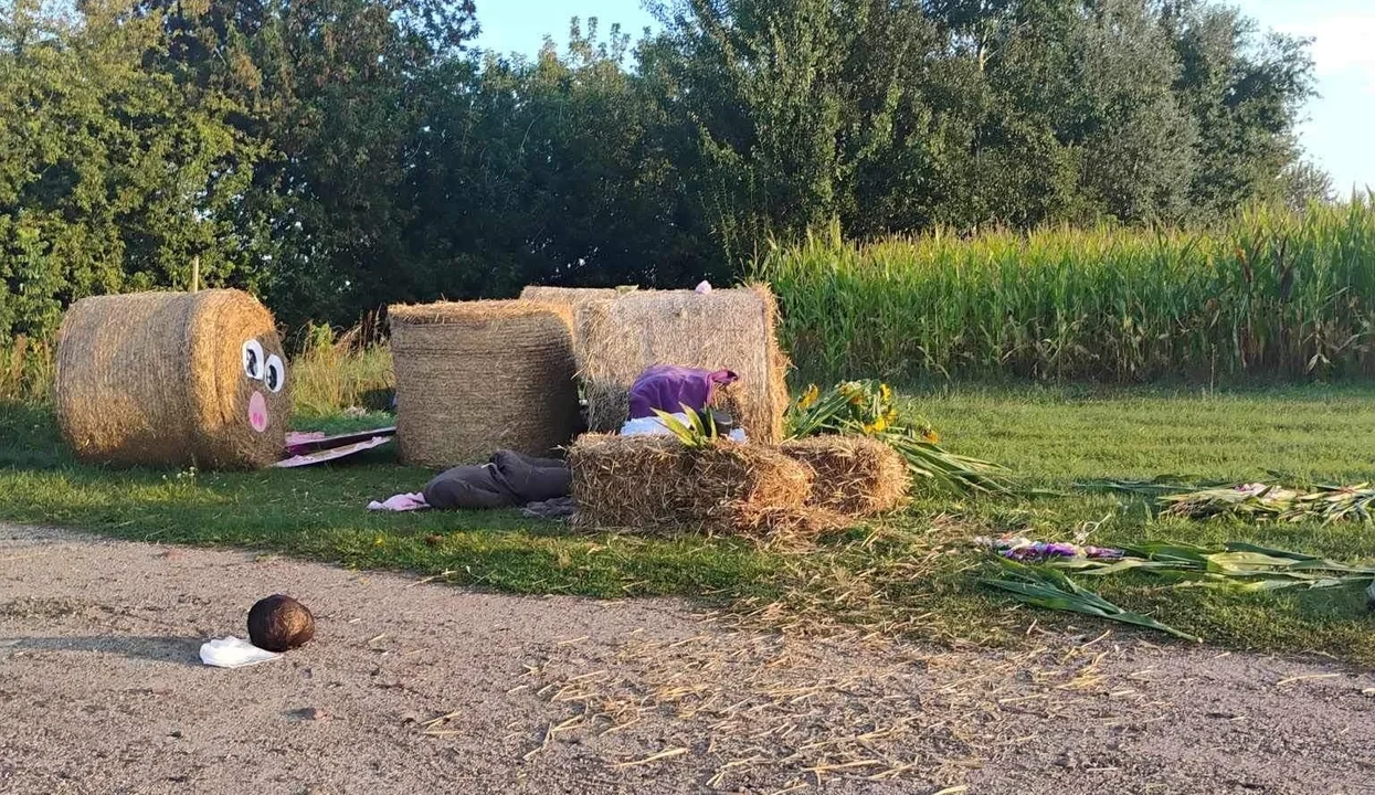 Ktoś zniszczył witacz dożynkowy w Karminie. „Tyle zostało z naszej ciężkiej pracy” [ZDJĘCIA] - Zdjęcie główne