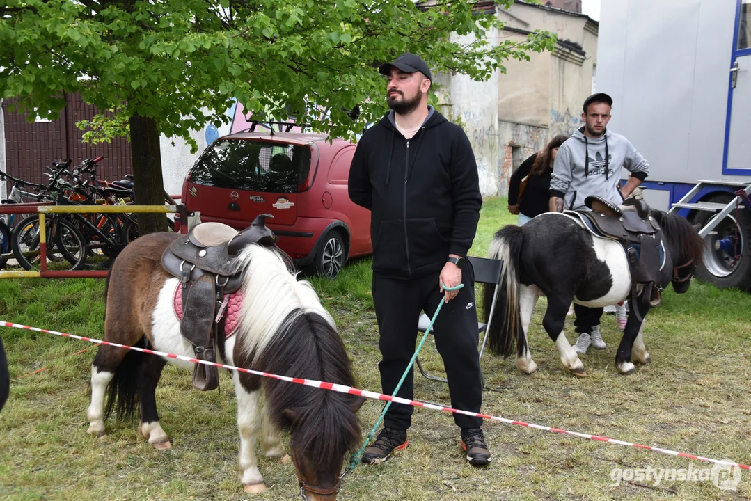 Wiki Gabor i Piersi  w Gostyniu. Dni Gostynia 2023