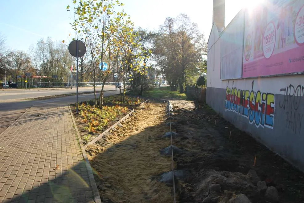 Nasadzenie zieleni w centrum Jarocina