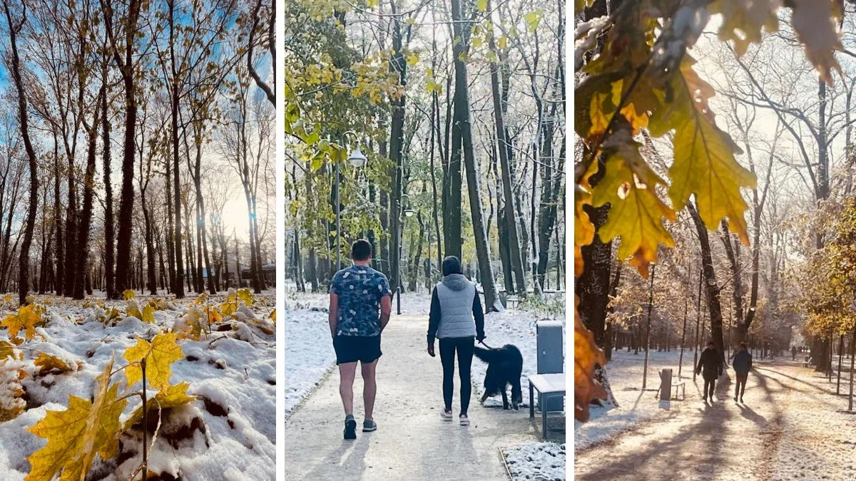 Park Radolińskich w Jarocinie w jesienno-zimowej odsłonie