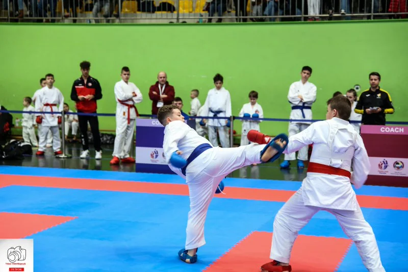 Kobylin. Turniej Karate o Puchar Burmistrza