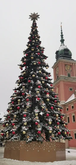 Odznaki dla opiekunek SKO z pleszewskiej Dwójki