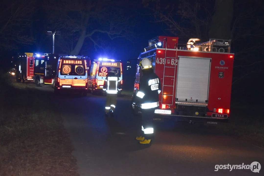 Czołówka z drzewem. Wypadek w Grodzisku (gm. Poniec)