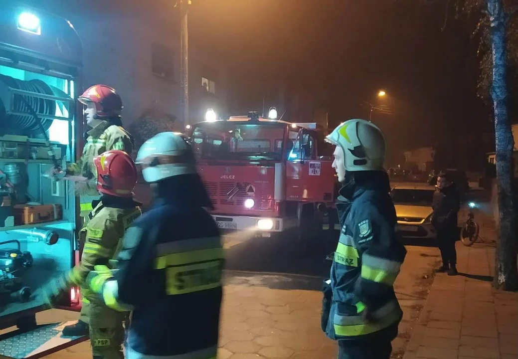 Zaprószony ogień w choinkach na jednej z posesji w Piaskach - Zdjęcie główne