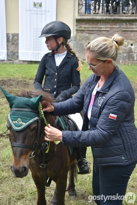 Rokosowo Horse Show - dzień drugi