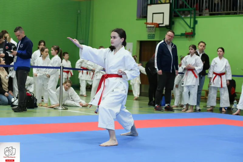 Kobylin. Turniej Karate o Puchar Burmistrza