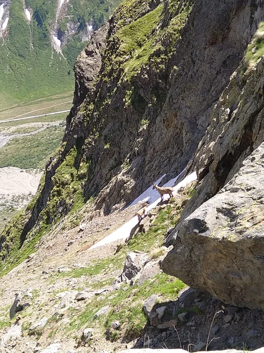 Ultramaratończyk Rafał Przybył z Bodzewka Pierwszego zdobył Mont Blanc