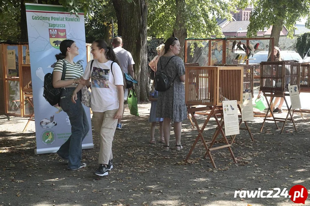 Witaj Szkoło! Bezpieczna Pyrka na Wesoło