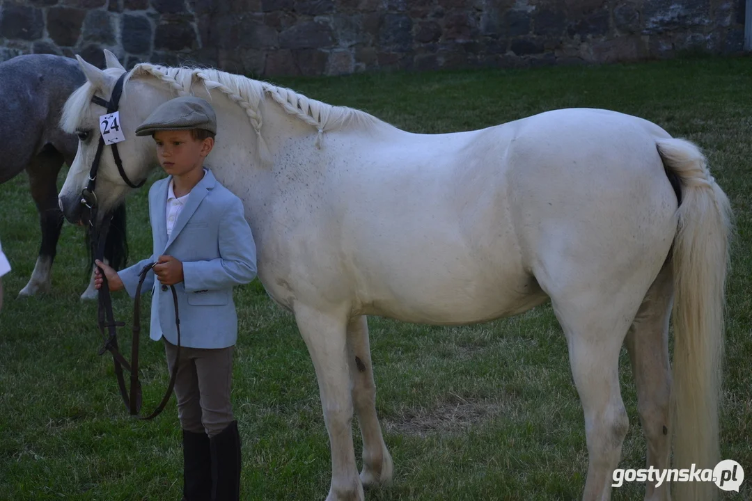 Rokosowo Horse Show 20224 - Konie i Powozy na Zamku Wielkopolskim w Rokosowie