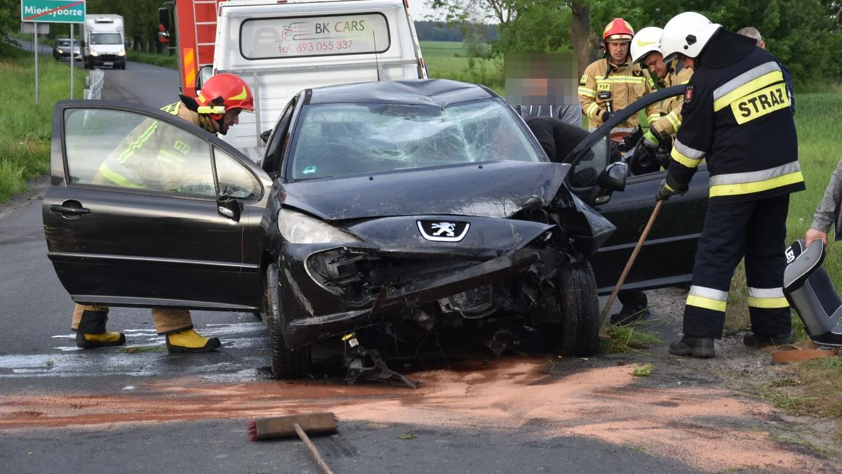 Kierowca peugeota 307 uderzył w drzewo. Mieszkańcy Międzyborza ruszyli gasić auto - Zdjęcie główne