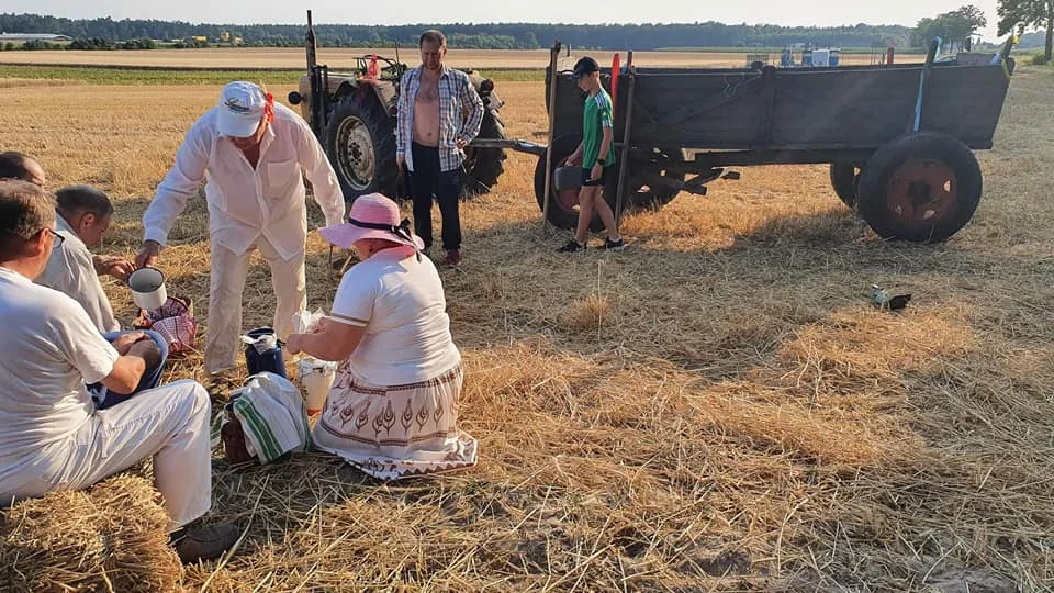 W Jedlcu zorganizowano wyjątkowe żniwa