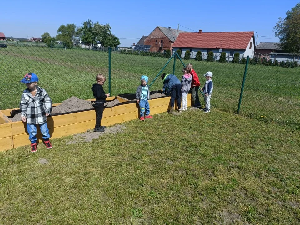 Święto Polskiej Niezapominajki w Świnkowie