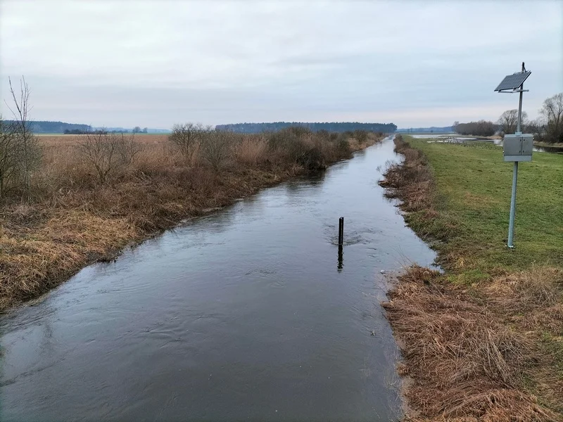 Lutynia w okolicy wsi Raszewy (gm. Żerków)