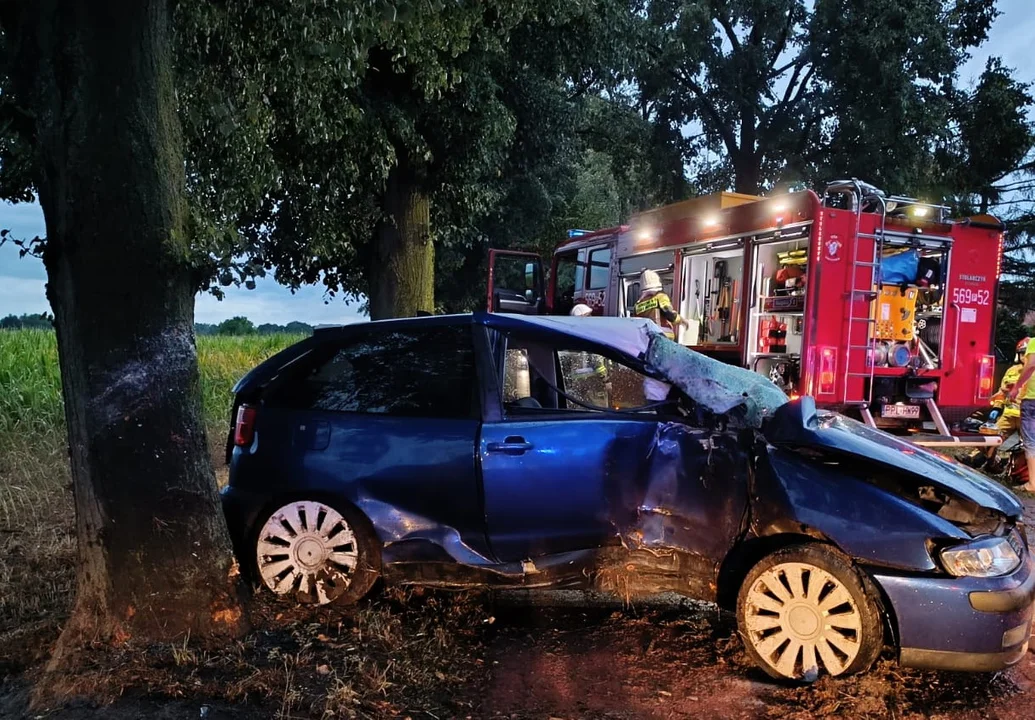 Czerminek. Samochód osobowy wypadł z drogi i uderzył w drzewo [ZDJĘCIA] - Zdjęcie główne