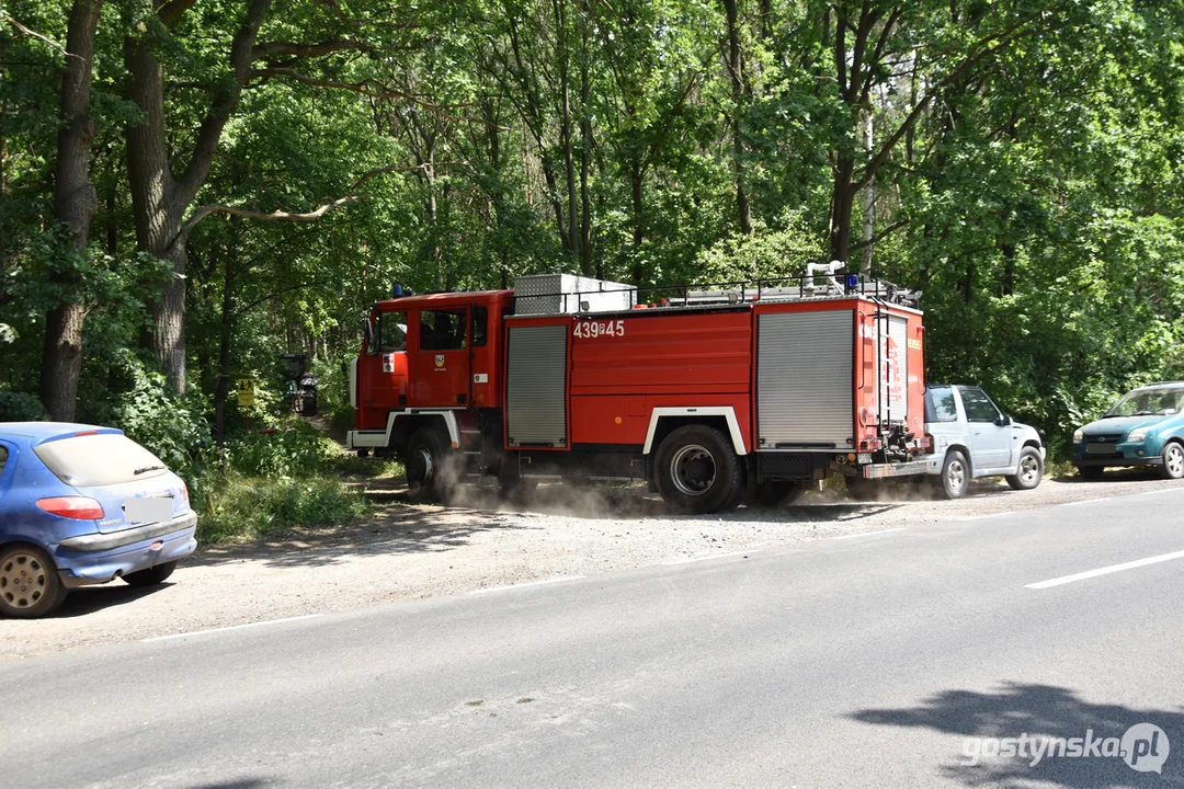 Pożar lasu na granicy powiatu gostyńskiego