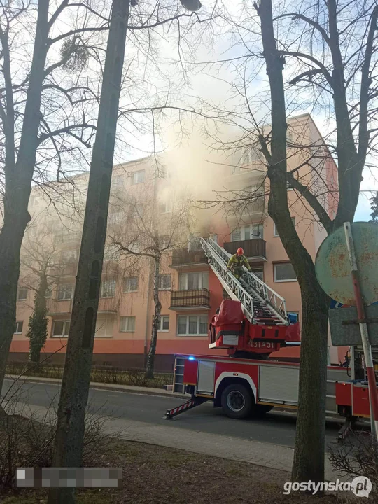 Pożar mieszkania na osiedlu w Gostyniu