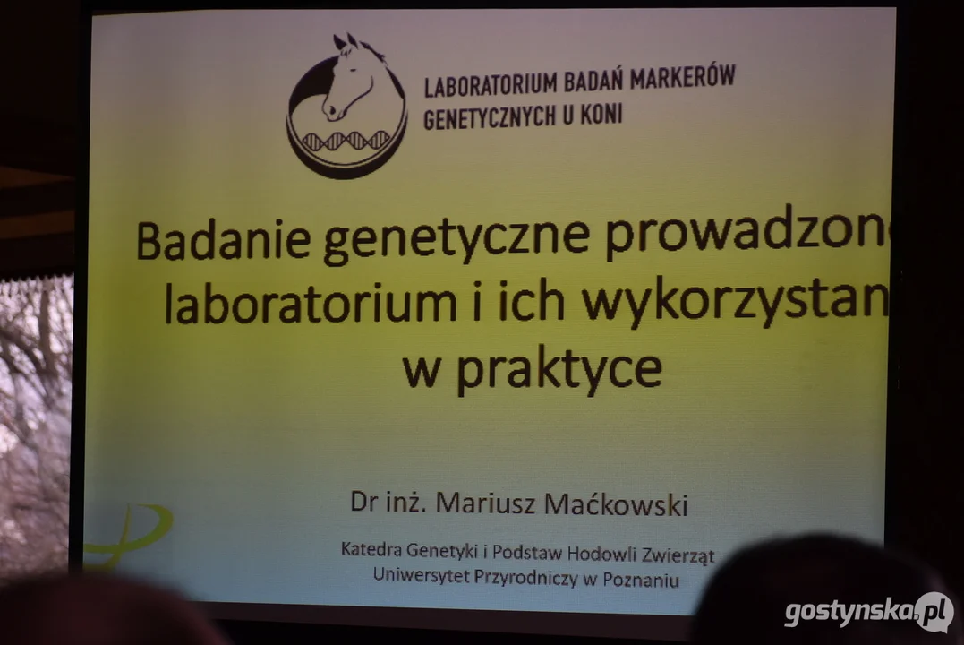 Pierwsze zebranie koła powiatowego Związku Hodowców Koni Wielkopolskich w Gostyniu  w 2023 roku