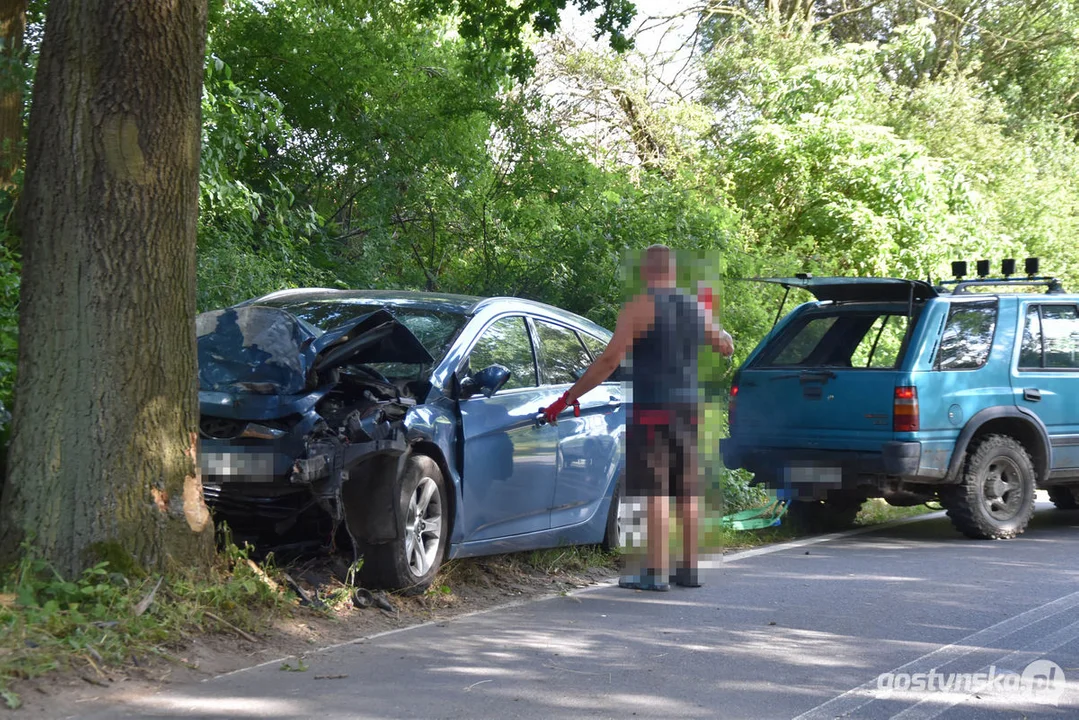 Samochód osobowy uderzył w drzewo w Piaskach