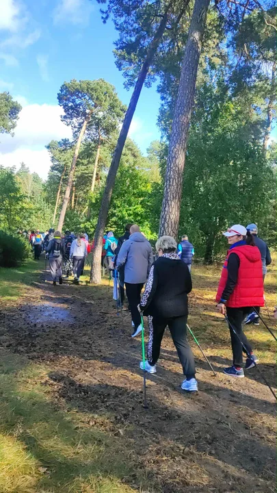 V Marsz po zdrowia z nordic walking w ramach Leśna Triada 2025 w Piaskach
