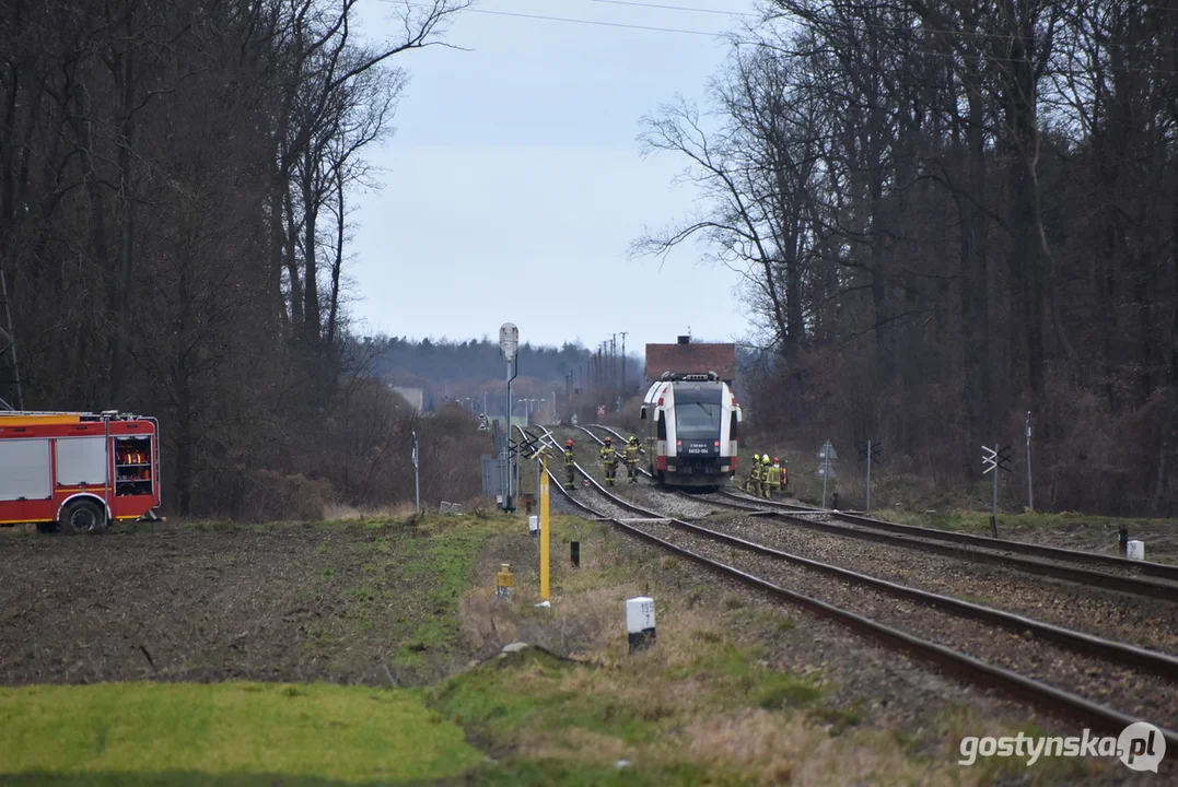 Zderzenie szynobusu relacji Ostrów Wlkp. - Leszno z drzewem