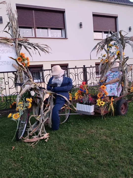 Dożynki w Kromolicach (gm. Pogorzela) na wypasie