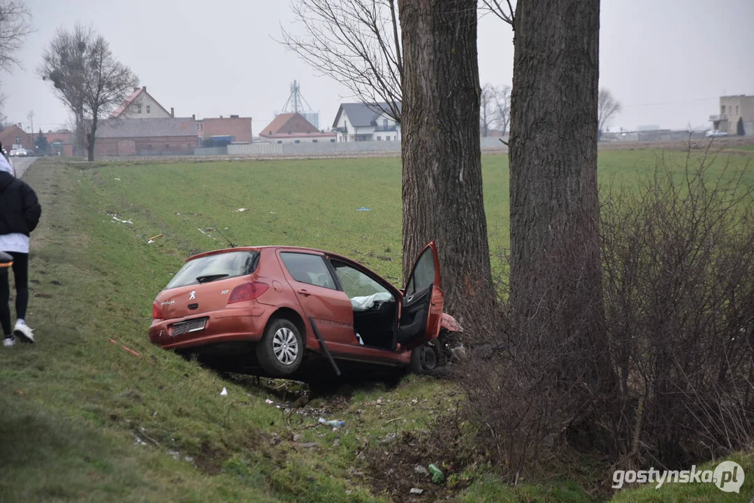 Wypadek samochodowy na drodze Strzelce Wielkie - Lipia (droga Piaski - Pogorzela)