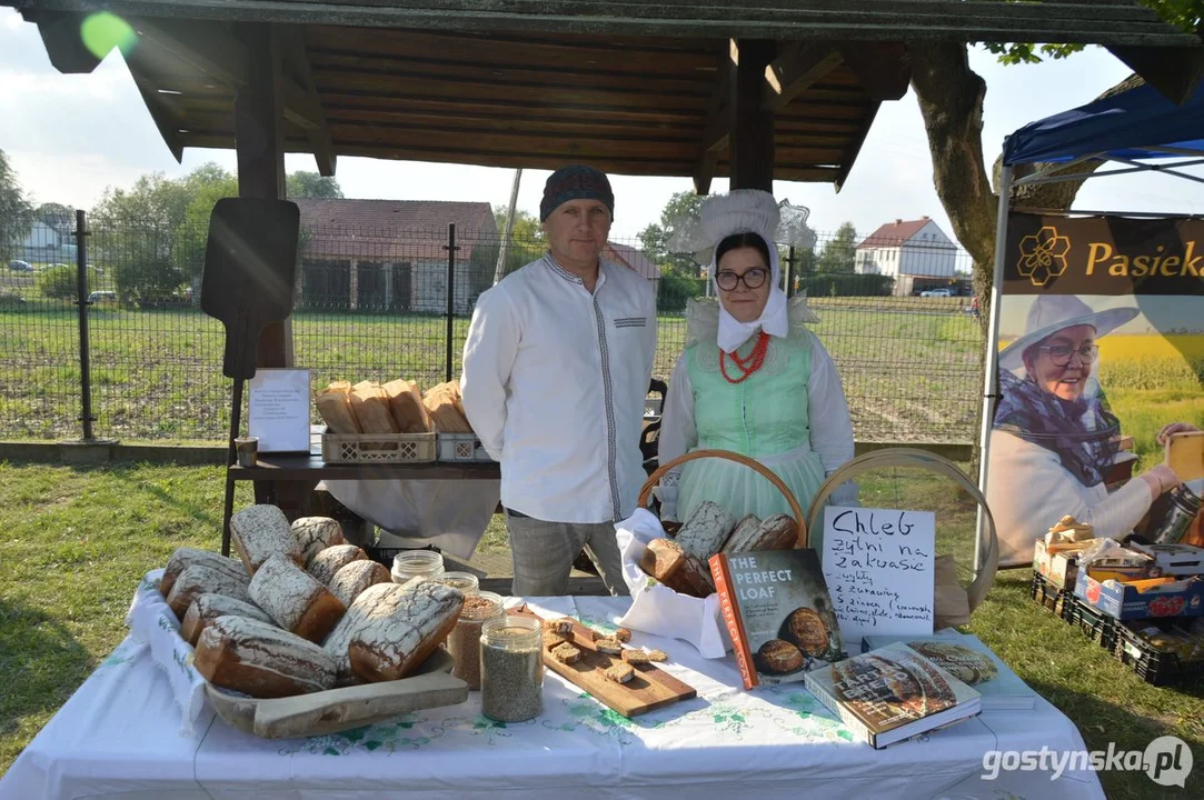 XII Festiwal Tradycji i Folkloru w Domachowie 2024