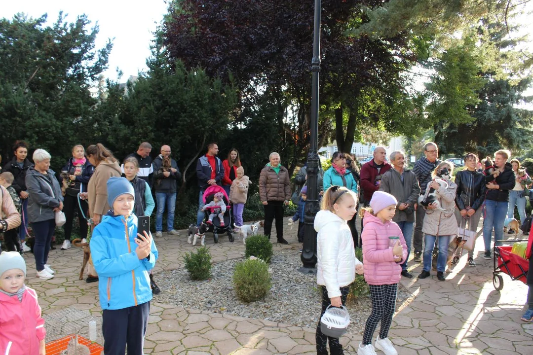 Franciszkanie w Jarocinie. Odpust św. Franciszka z Asyżu