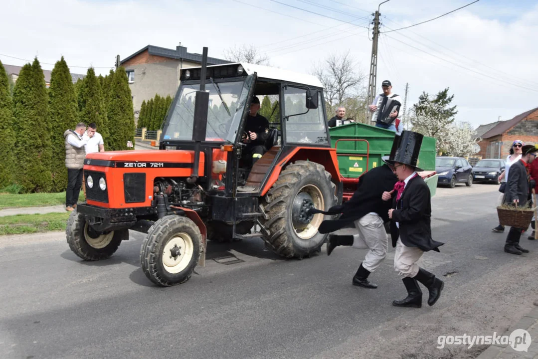 "Niedźwiedzie" wróciły do Zalesia - wesoły śmigus-dyngus