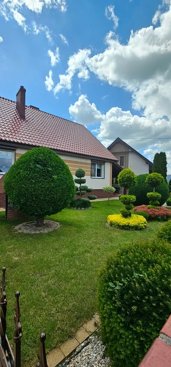 Ogród Piotra Kędzi z Borku Wlkp. wyróżnia staw i spora kolekcja iglaków