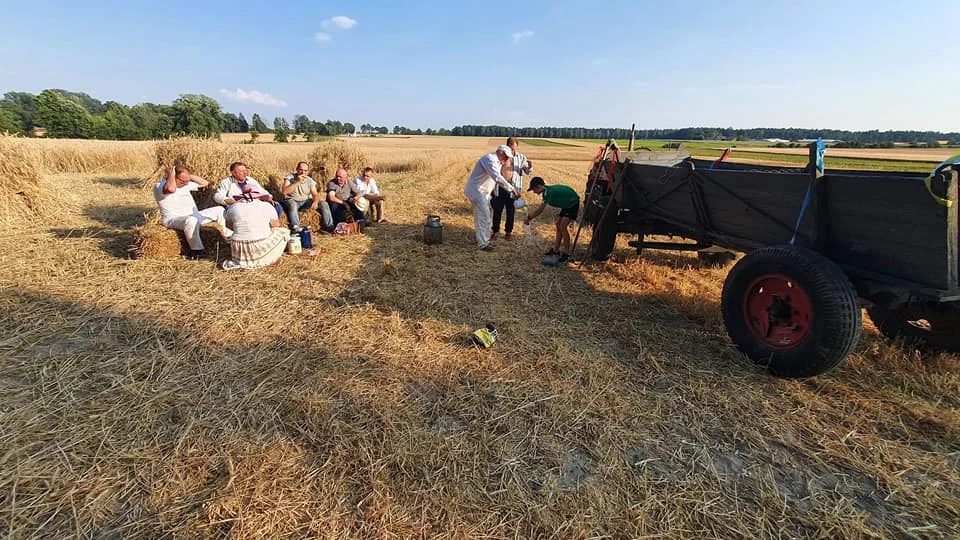 W Jedlcu zorganizowano wyjątkowe żniwa