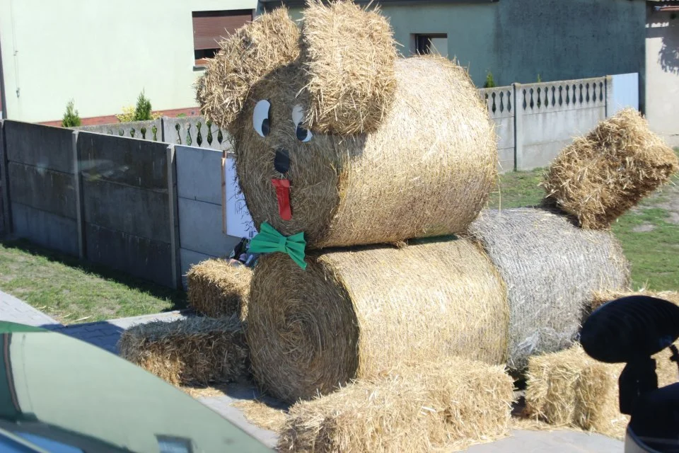 Dożynki wiejskie w Świnkowie