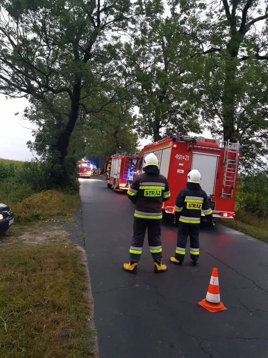 Starkówiec - Łagiewniki. Wypadek śmiertelny