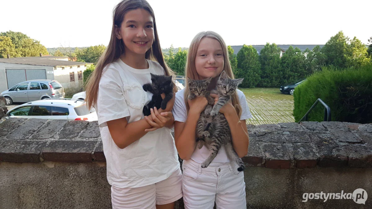 Błogosławieństwo zwierząt domowych w kościele w Starym Gostyniu