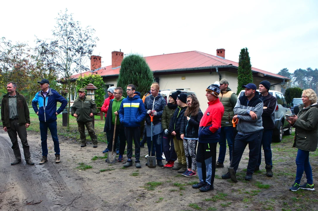 Kuklinów. Posadzili nowy las