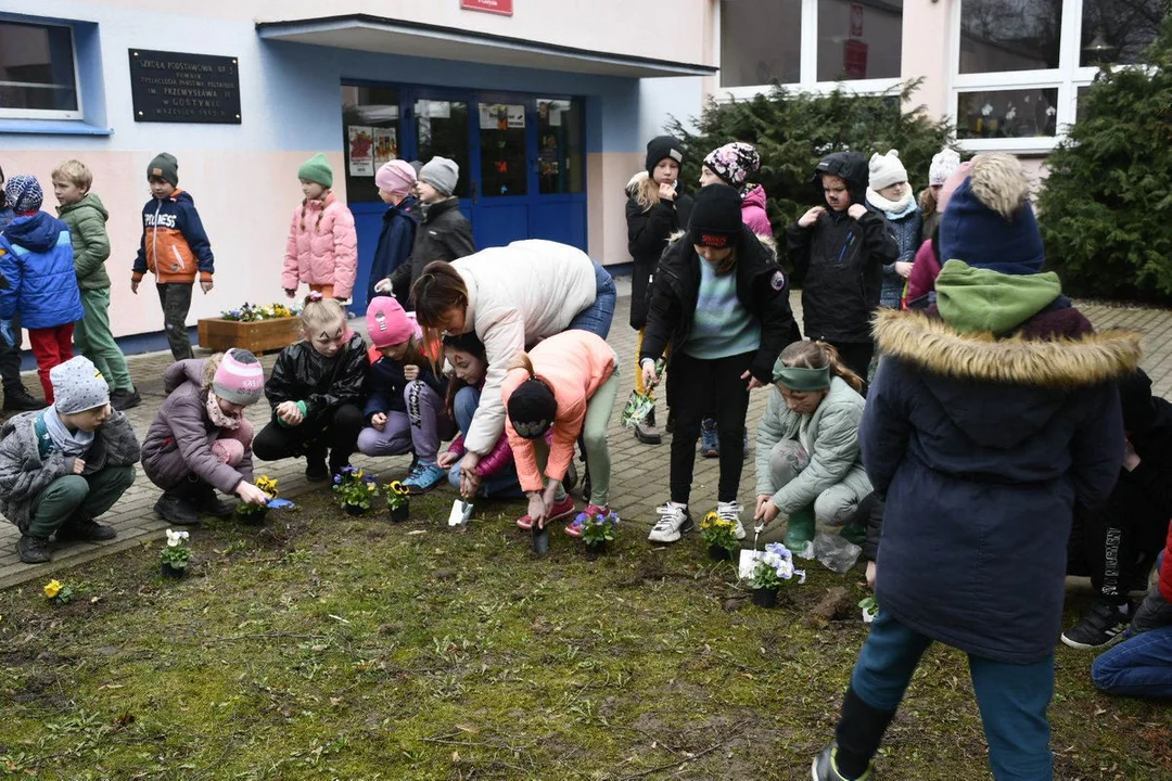 Dzień Wiosny w Szkole Podstawowej nr 3 w Gostyniu