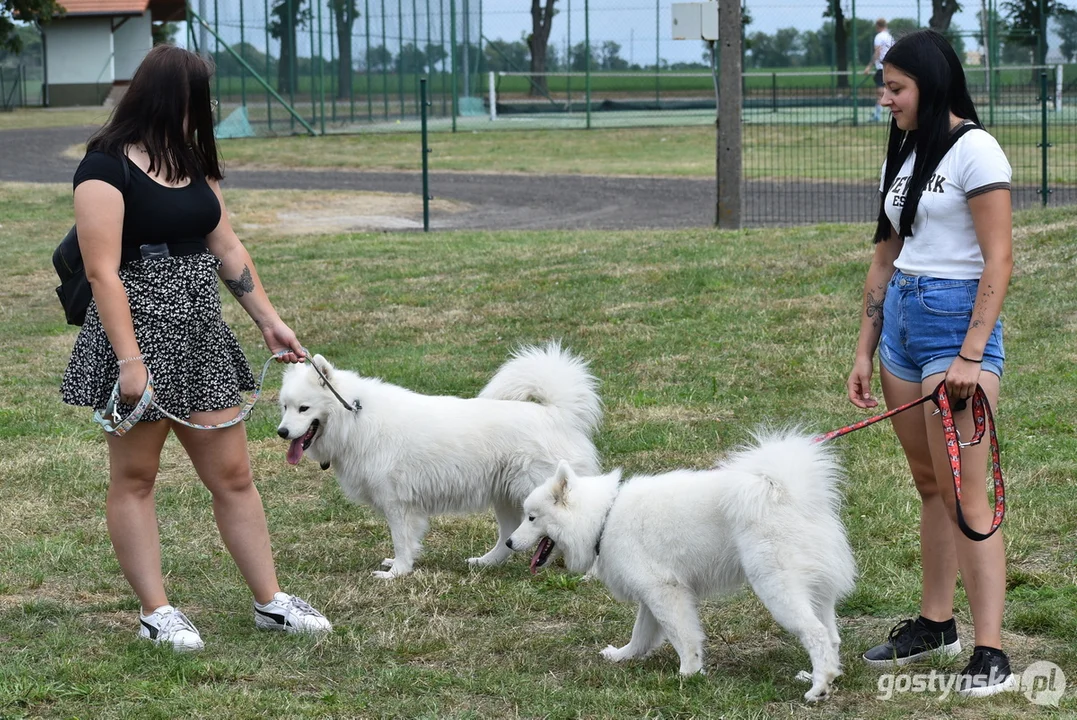 Regionalna wystawa koni hodowlanych w Pępowie