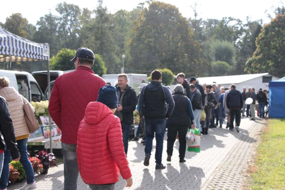 Wyróżnienie dla KGW w Witaszyczkach na targach w Marszewie