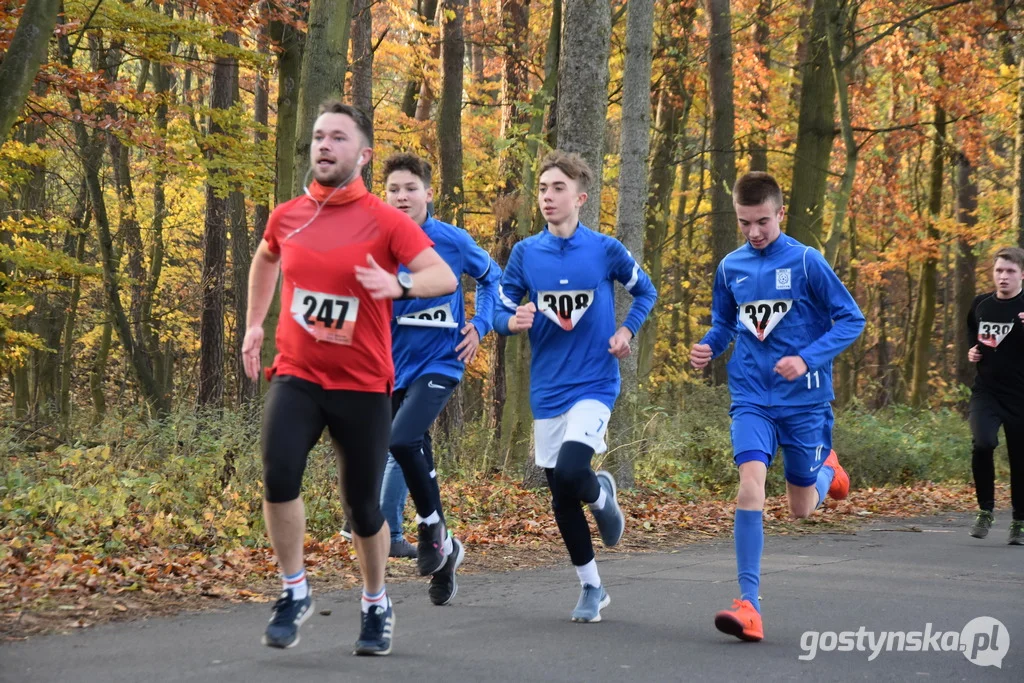 Biegi Niepodległości w Gostyniu - przegląd