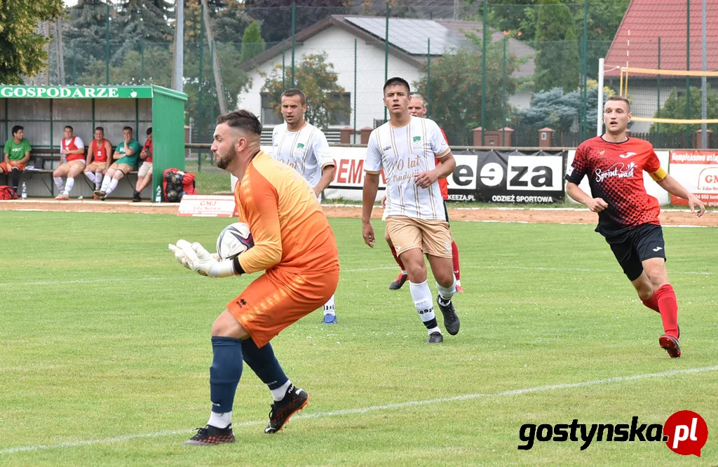 Wisła Borek Wielkopolski - Lider Swarzędz 2 : 0