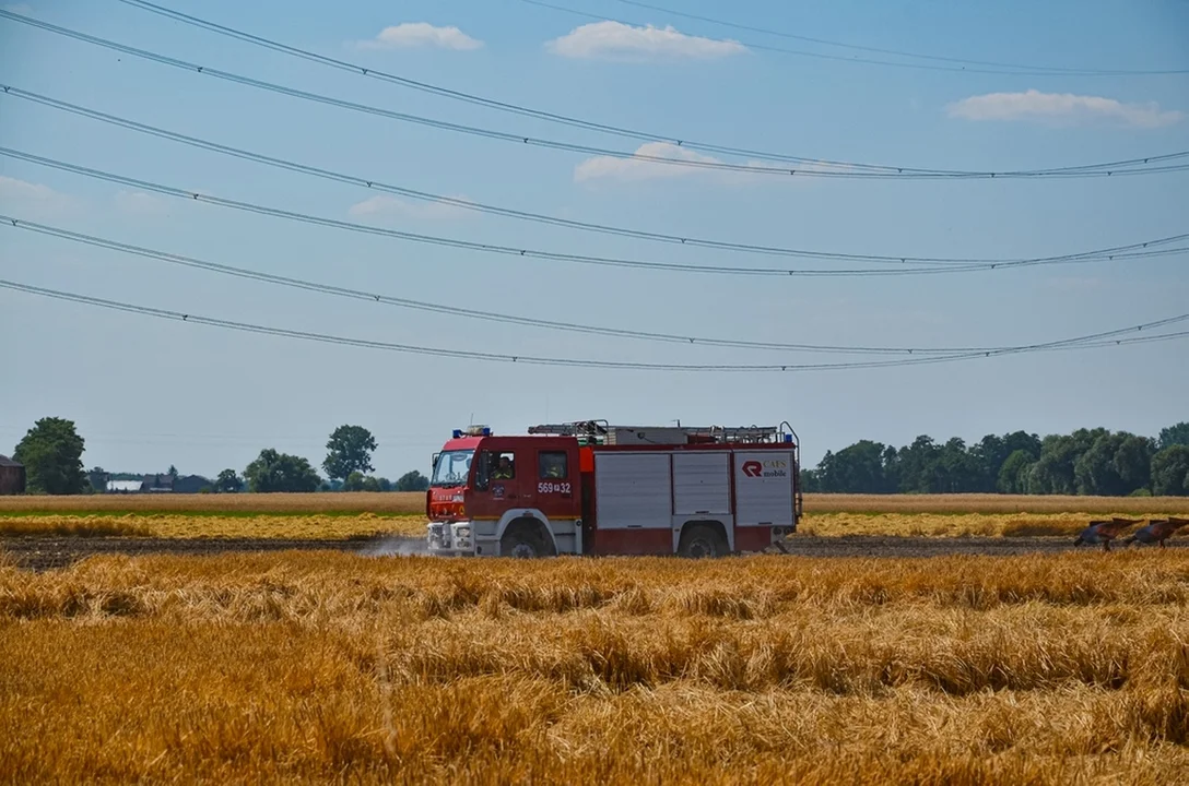 Pożar w miejscowości Trzebin