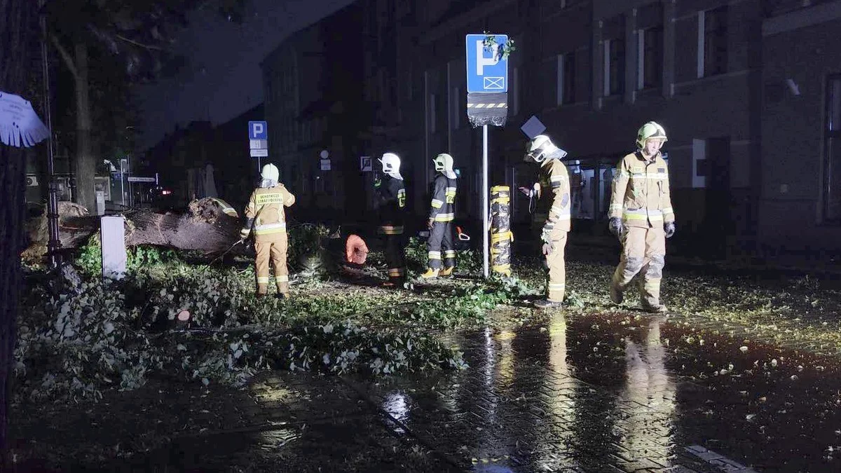 Pięć interwencji strażaków. Powalone konary drzew i zadymienie w rawickiej firmie [ZDJĘCIA] - Zdjęcie główne