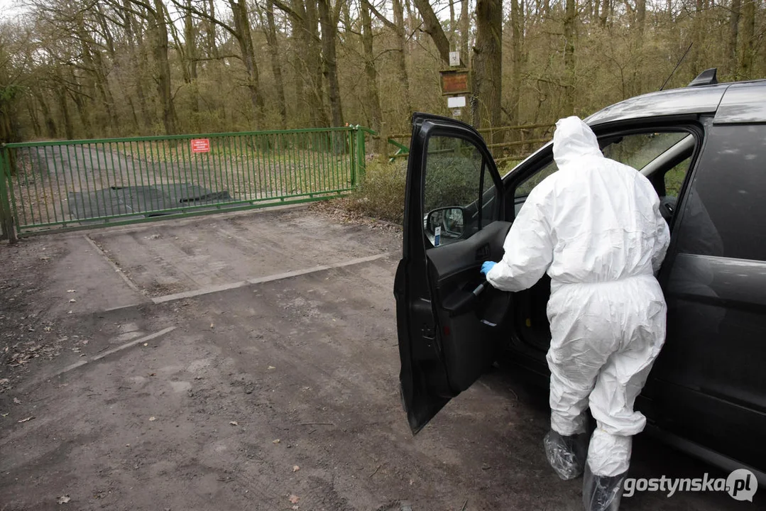 Pierwszy przypadek rzekomego pomoru drobiu w powiecie gostyńskim