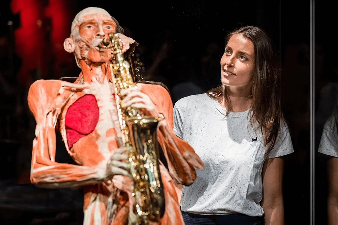 Niesamowita wystawa Body Worlds w Poznaniu przedłużona. Do kiedy?