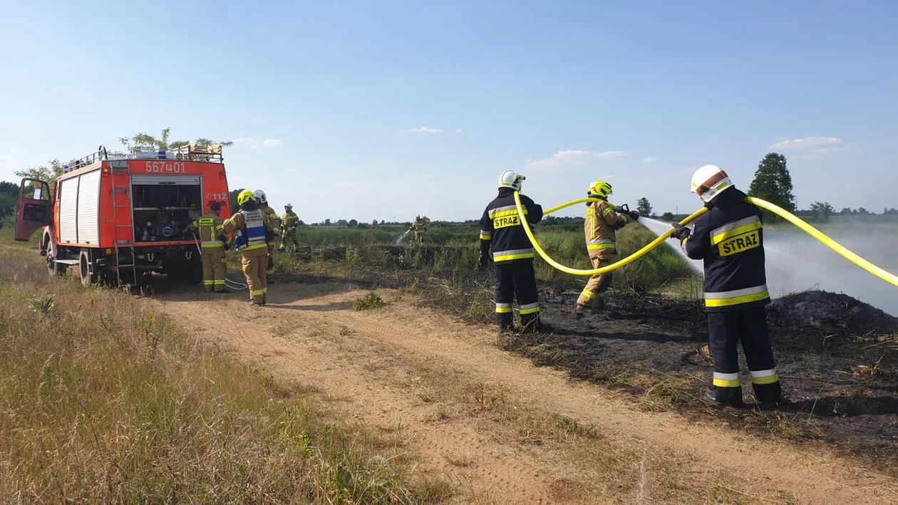 Pożar trawy w Kuźni