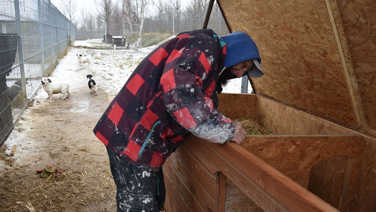 Akcja w Schronisku dla Zwierząt w Dalabuszkach. Ocieplano budy